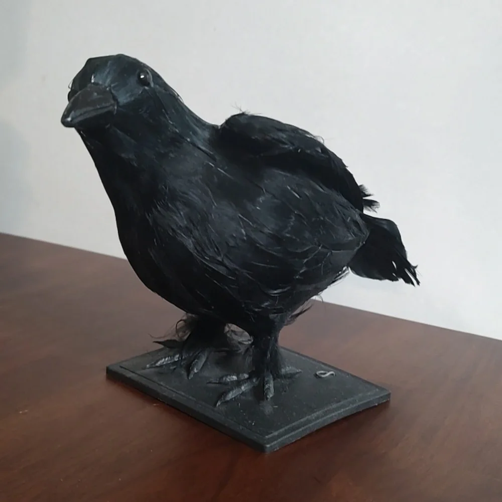 Black Raven Crow Sculpture Real Feathers Bird Halloween Decor Movie Set Prop - Picture 7 of 14